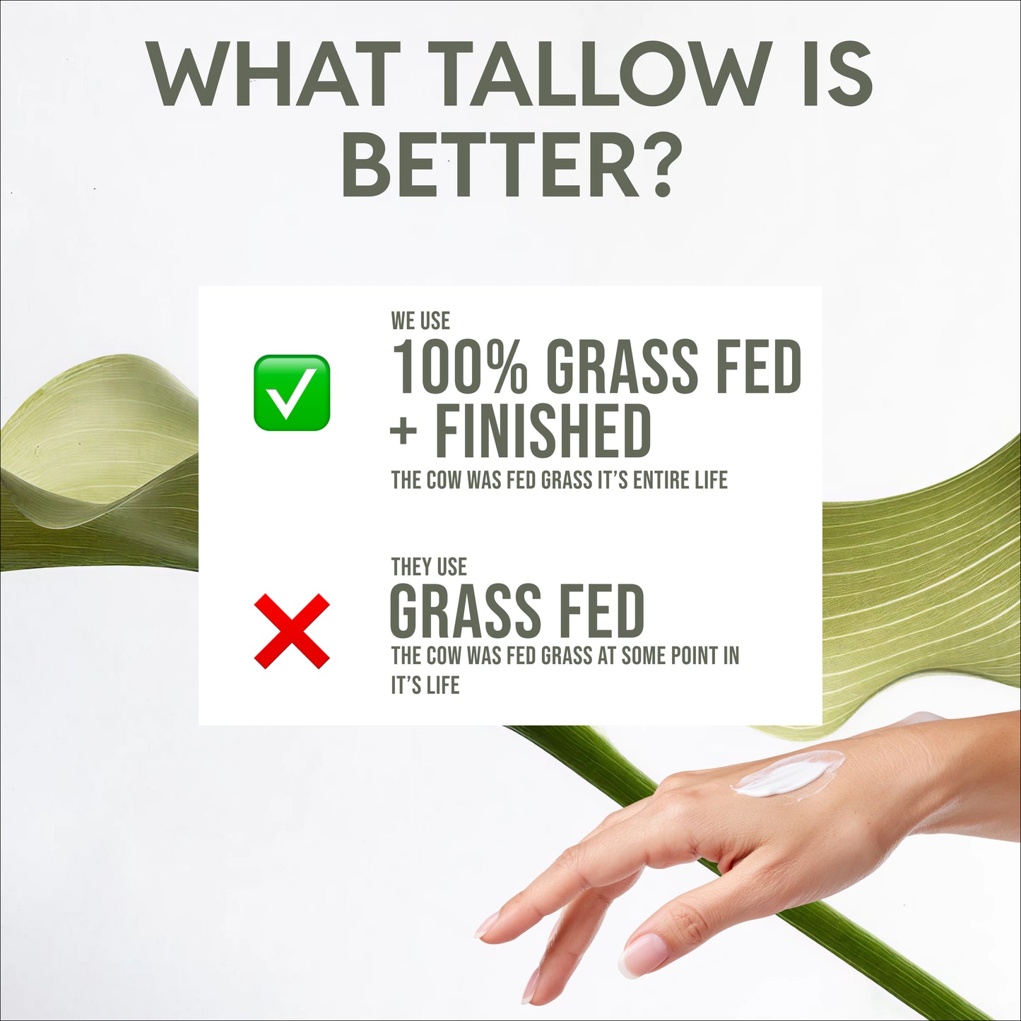 Whipped Beef Tallow Balm – Unscented | Organic Moisturizer for Sensitive Skin